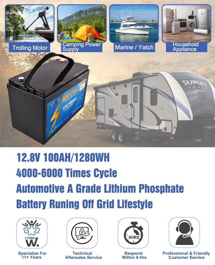 12V 100Ah LiFePO4 Prismatic Battery Pack for Solar Storage/ Marine